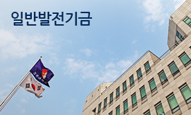 일반발전기금